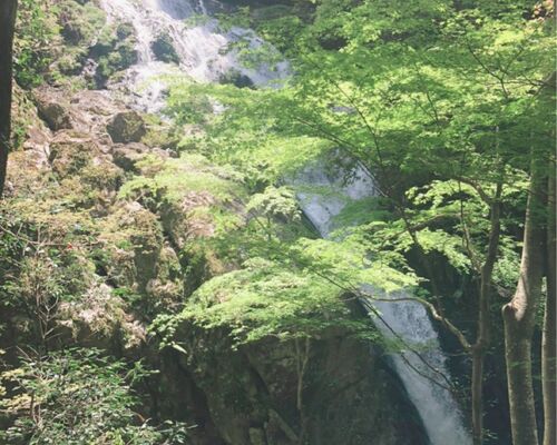 BF6B0317-552C-41FF-AE9A-70E289E06CBE